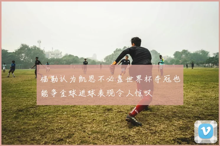 福勒认为凯恩不必靠世界杯夺冠也能争金球进球表现令人惊叹