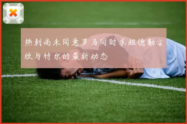 热刺尚未同意罗马同时求租德勒古欣与特尔的最新动态