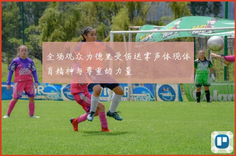 全场观众为德里受伤送掌声体现体育精神与尊重的力量